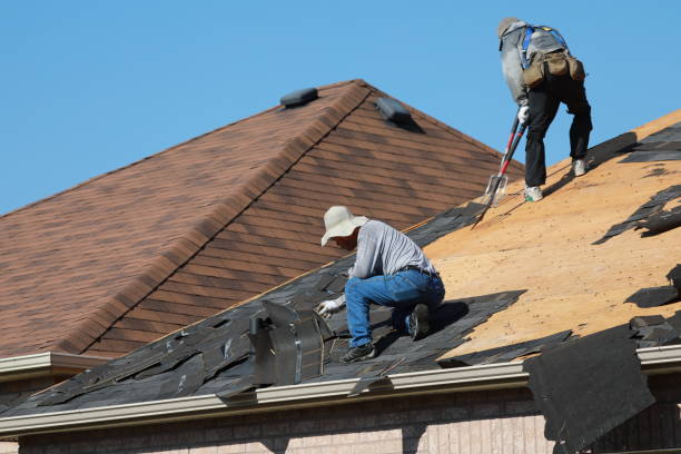 Best Roof Maintenance and Cleaning  in Tolleson, AZ